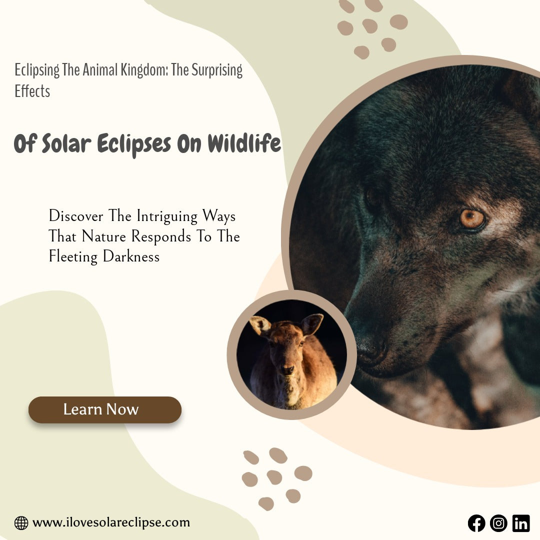 The Impact of Solar Eclipses on Wildlife Behavior A Fascinating Pheno