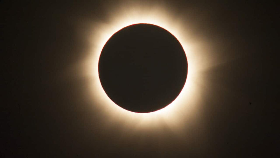 Where to buy solar eclipse glasses in Dock Junction,