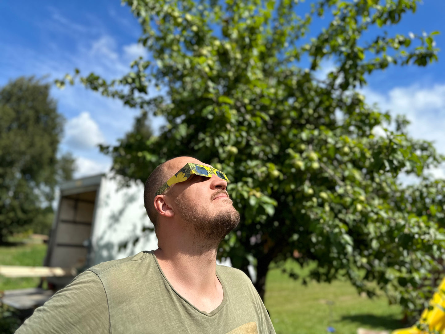 Solar Eclipse Glasses - Flower